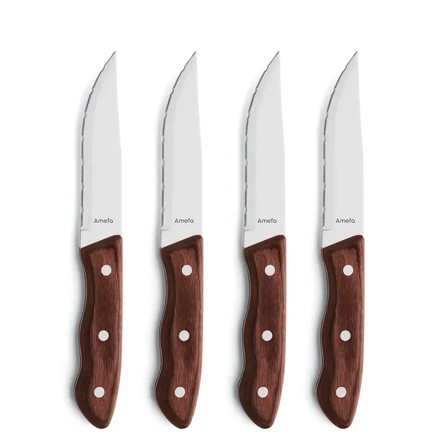 amefa-hercule-steakmesser-set-4-tlg-braun-wellenschliff image 1