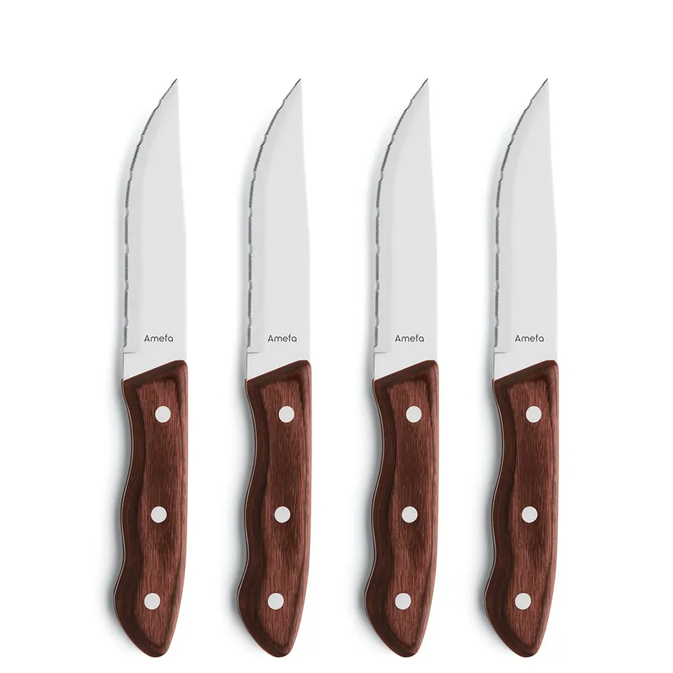 amefa-hercule-steakmesser-set-4-tlg-braun-wellenschliff image 1