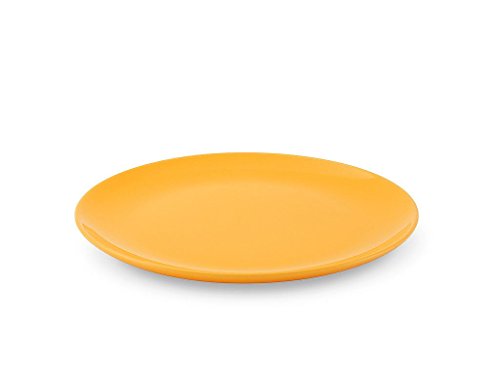 friesland-happymix-speiseteller-25cm-safrangelb-steingut image 2